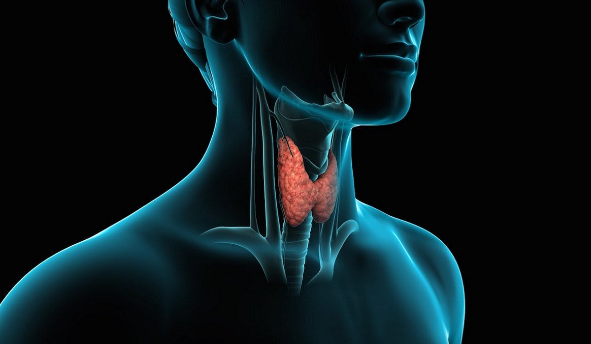 медицина-щитовидная